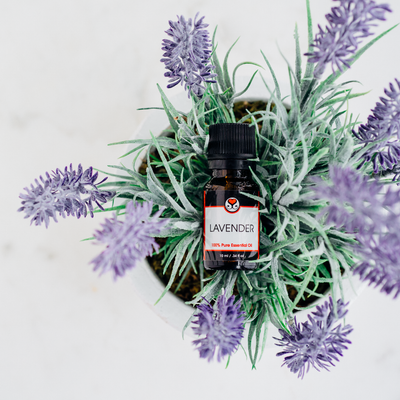 How To Use Lavender Essential Oil