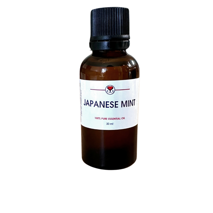 Japanese Mint Pure Essential Oil | Soulful Sister Aromatherapy