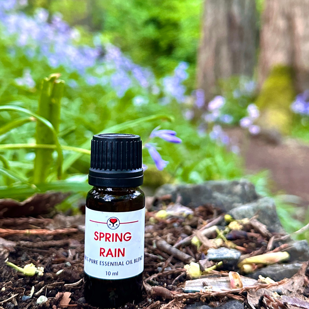 Spring Rain Pure Essential Oil Blend