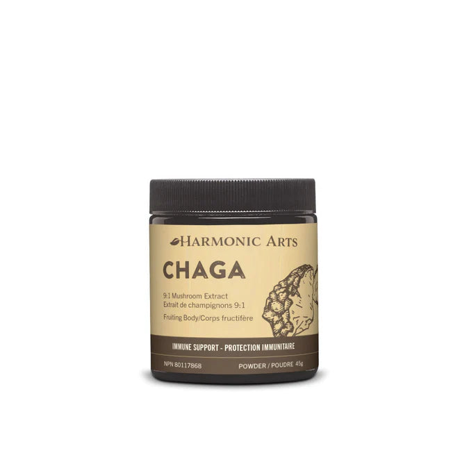 Chaga Mushroom Concentrated Powder – Soulful Sister Aromatherapy