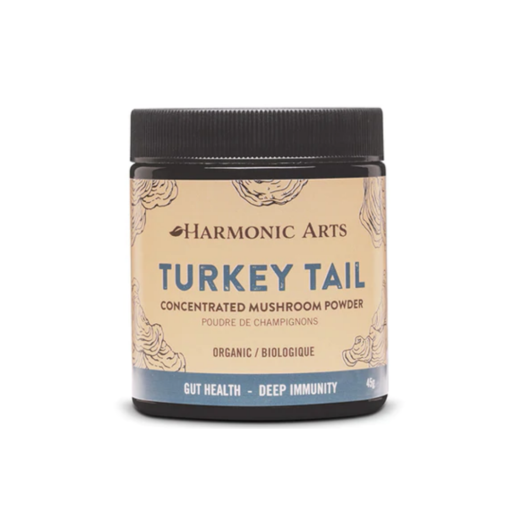 Turkey Tail Mushroom Powder – Soulful Sister Aromatherapy
